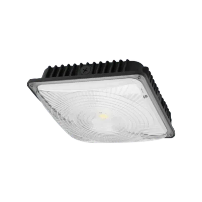 CPS LED canopy light